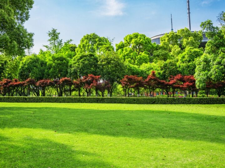 Nowy park w warszawskim Mokotowie – twór prywatnej firmy deweloperskiej