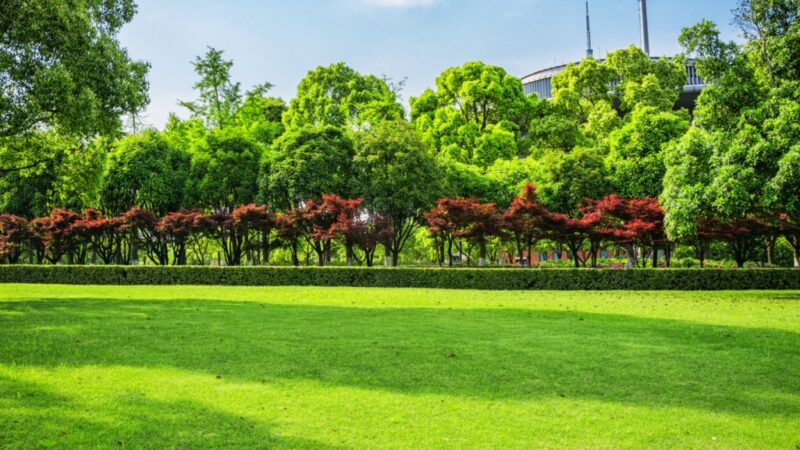 Nowy park w warszawskim Mokotowie – twór prywatnej firmy deweloperskiej