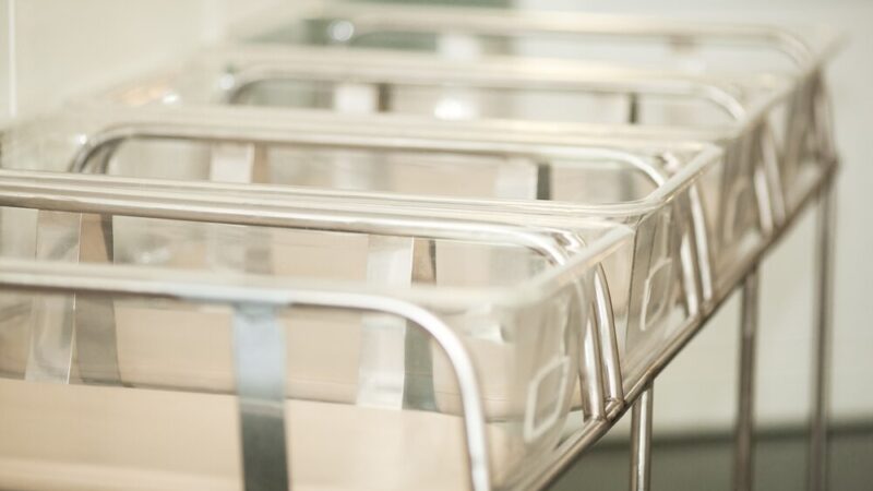 Szczepienie lisów przeciwko wściekliźnie: dołącz do akcji od 10 do 17 października!