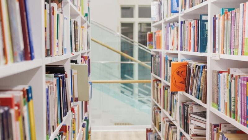 Mali odkrywcy wyruszają na afrykańską wyprawę w bibliotece