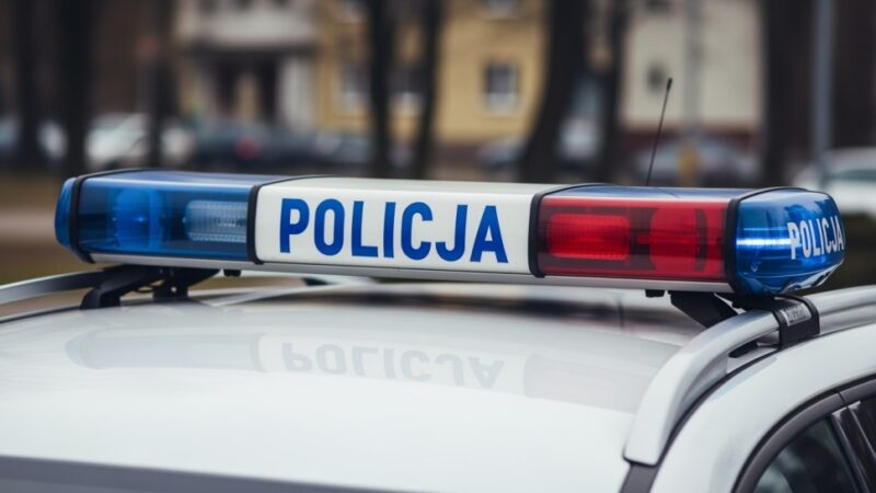 Mokotowscy policjanci odzyskali cenne obrazy Kossaka i Karpińskiego