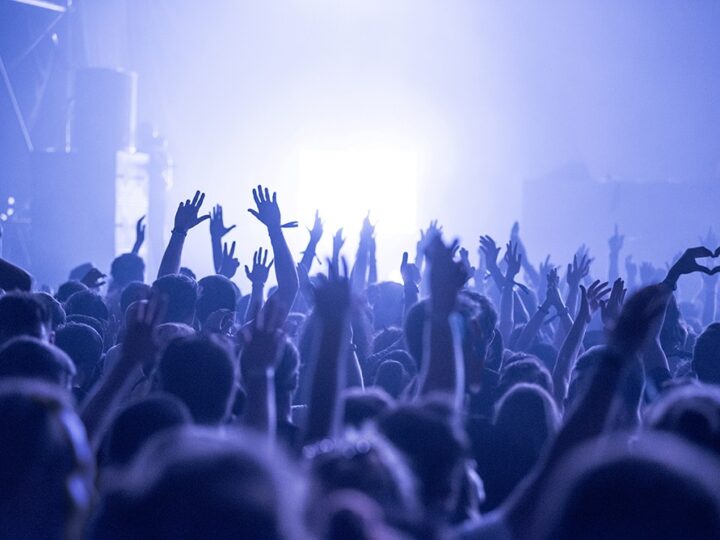 ApiPoland 2026: Festiwal Miodu i Targi Pszczelarskie w Warszawie