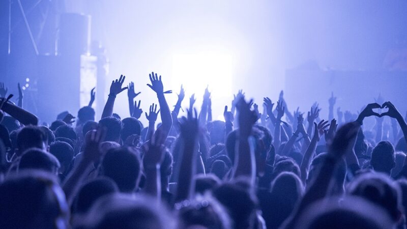 ApiPoland 2026: Festiwal Miodu i Targi Pszczelarskie w Warszawie