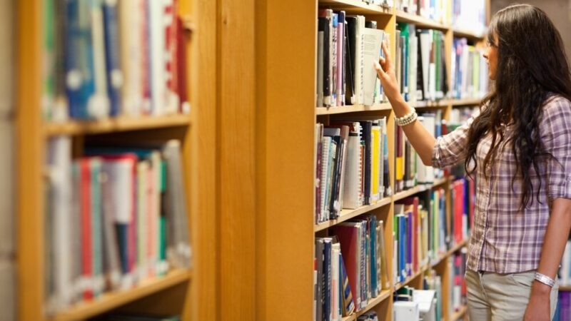 Odkryj moc nasion – warsztaty dla najmłodszych