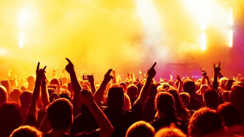 Hirka Wrona zaprasza na muzyczne podróże z legendarnymi albumami