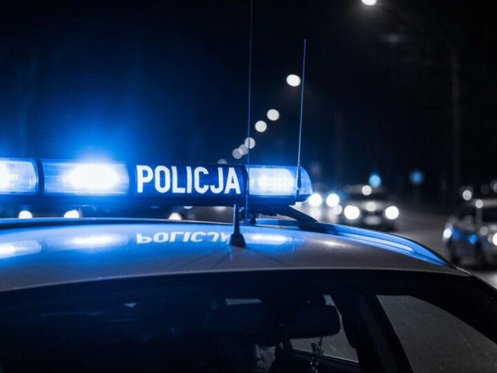 Oszustwo w sieci: Mistrz podmiany przesyłek w rękach policji